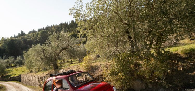 Wat is een roadtrip?
